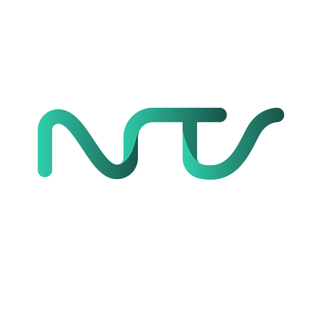Nimra Techno Solving Pvt Ltd.. (NTS)